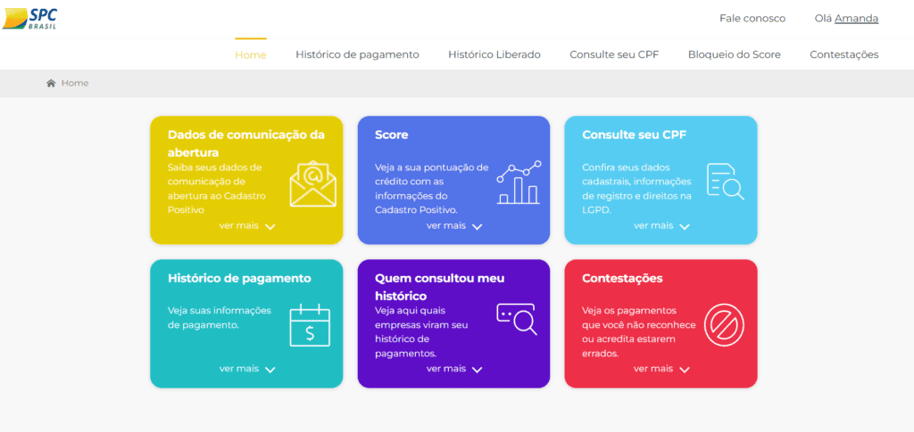 Guia completo para entender e melhorar seu Serasa Score