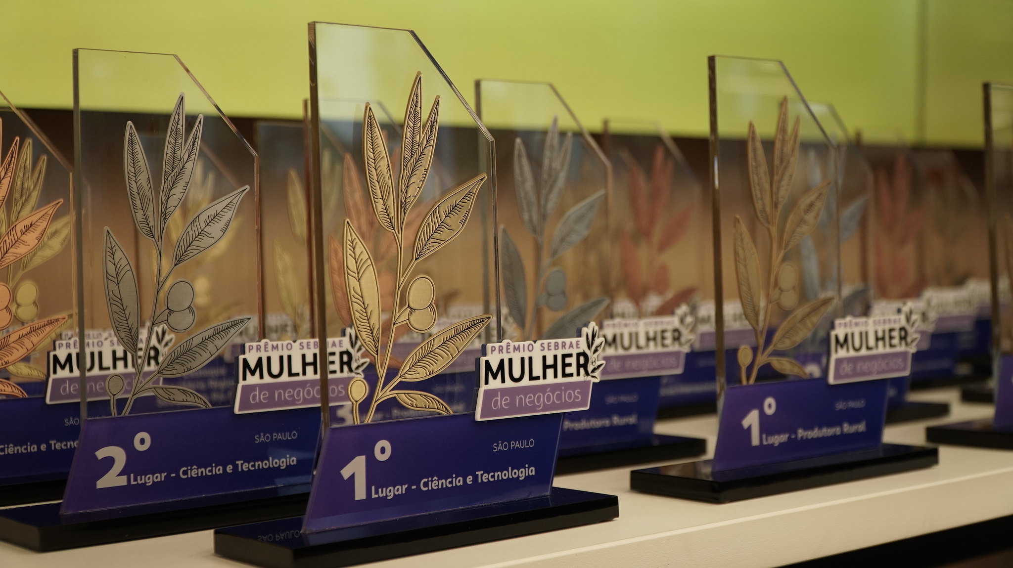 Cases de Sucesso: Marcas Paulistas que Brilham com Storytelling