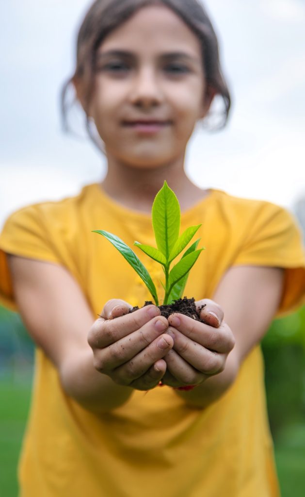 Cursos Gratuitos de Sustentabilidade: Onde Estudar em SP