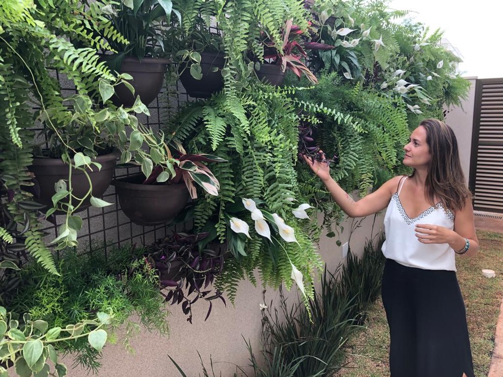 Como Conseguir seu Primeiro Emprego em Sustentabilidade em São Paulo