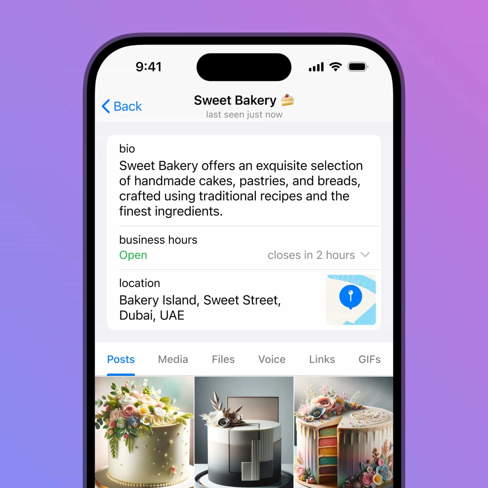 Telegram para negócios SP