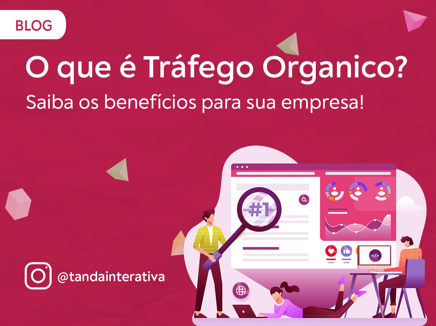 estratégias de tráfego orgânico