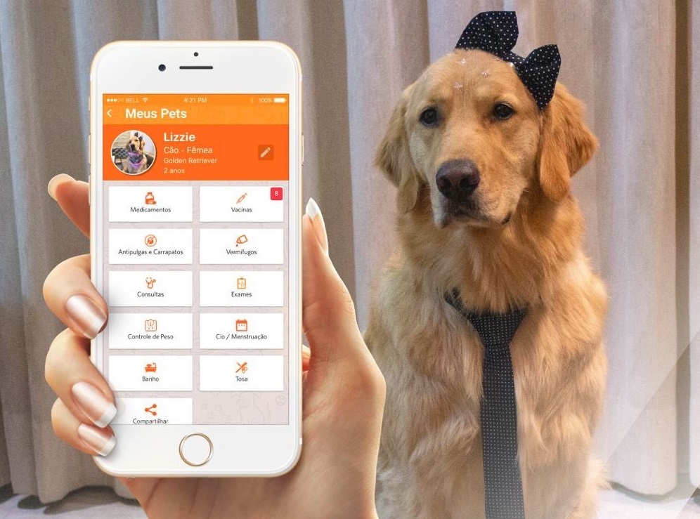 Apps de gestão de saúde pet: organize a vida do seu animal