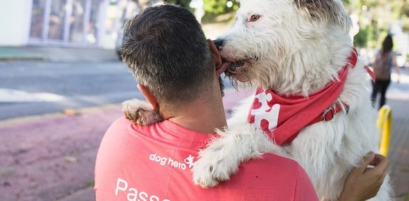 Guia completo das funcionalidades essenciais em apps de treino pet