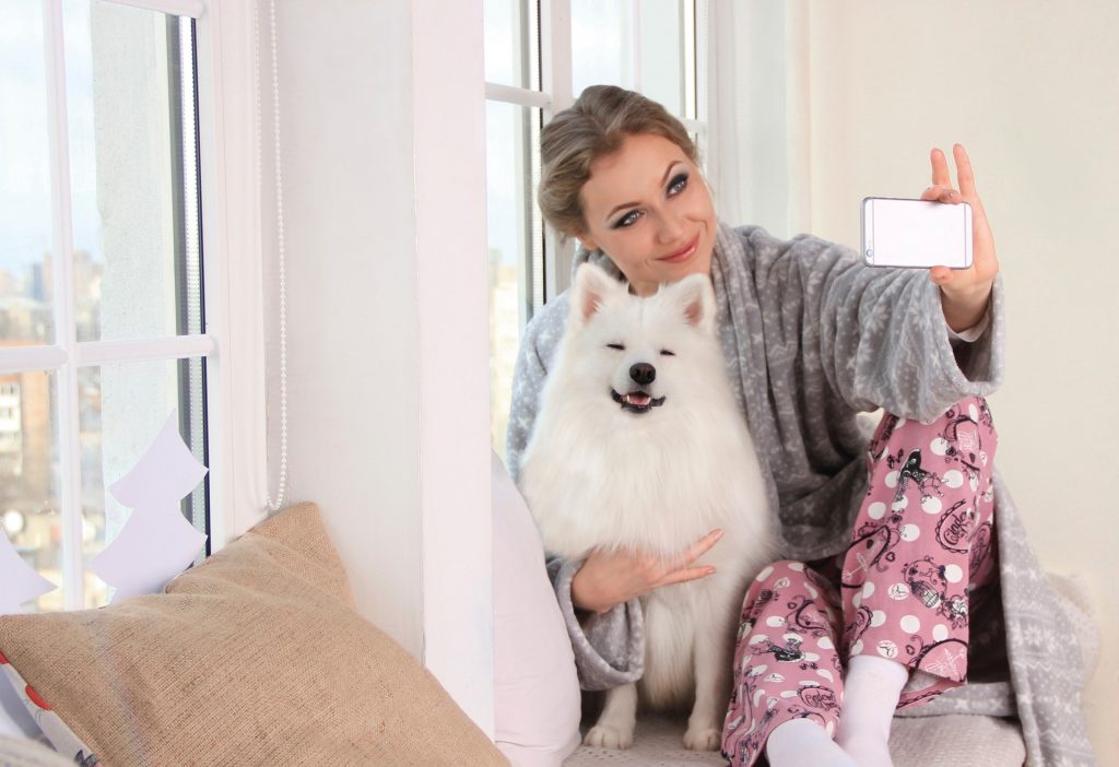 Adestramento de filhotes: os melhores apps para começar