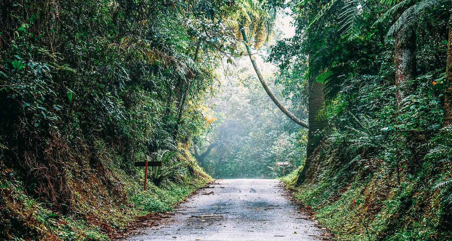 Desvendando o PETAR: Guia Completo das Cavernas de Iporanga