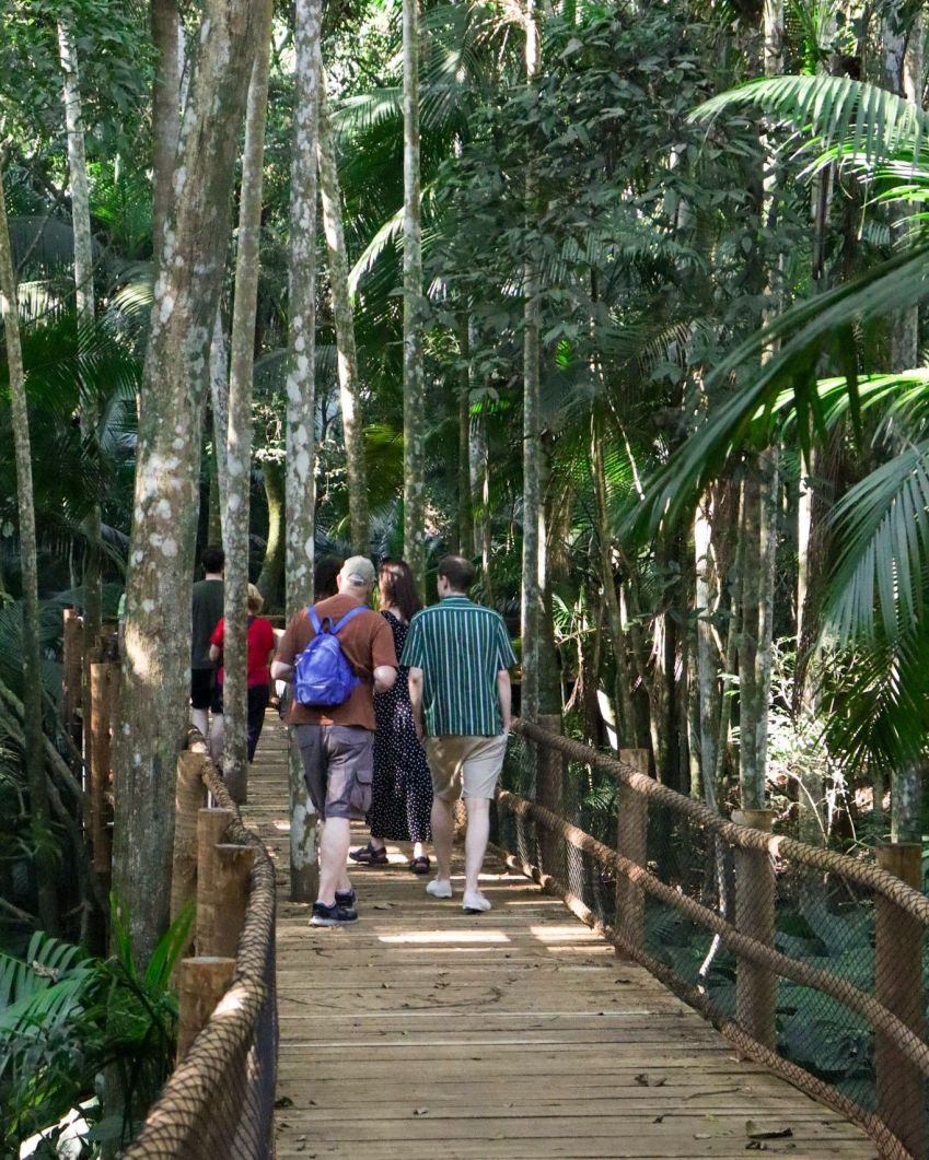 Bate e Volta Perfeito: Trilhas Próximas a São Paulo para um Dia de Aventura