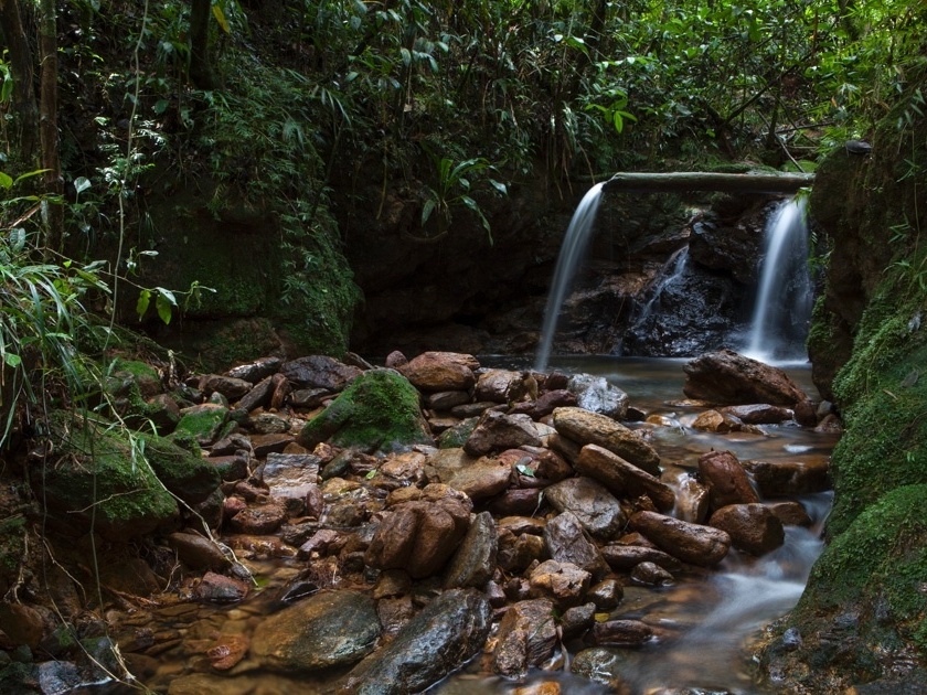 Ubatuba Além das Praias: Explorando a Trilha das 7 Praias