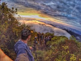 Trilhas Urbanas em SP: Natureza Sem Sair da Cidade