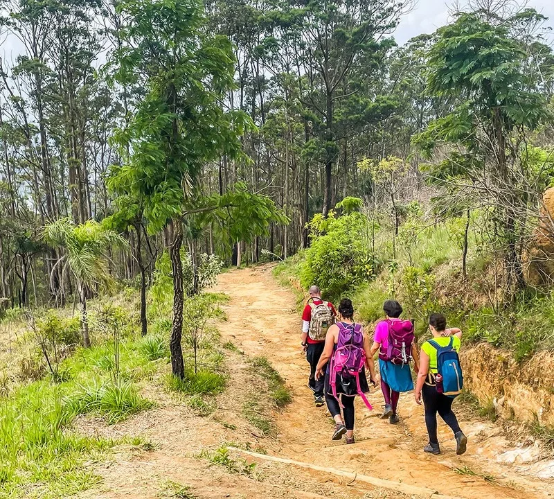 Cachoeiras Escondidas: As Quedas D'Água Mais Belas do Interior de São Paulo