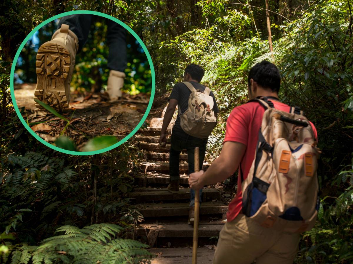 Ubatuba Além das Praias: Explorando a Trilha das 7 Praias