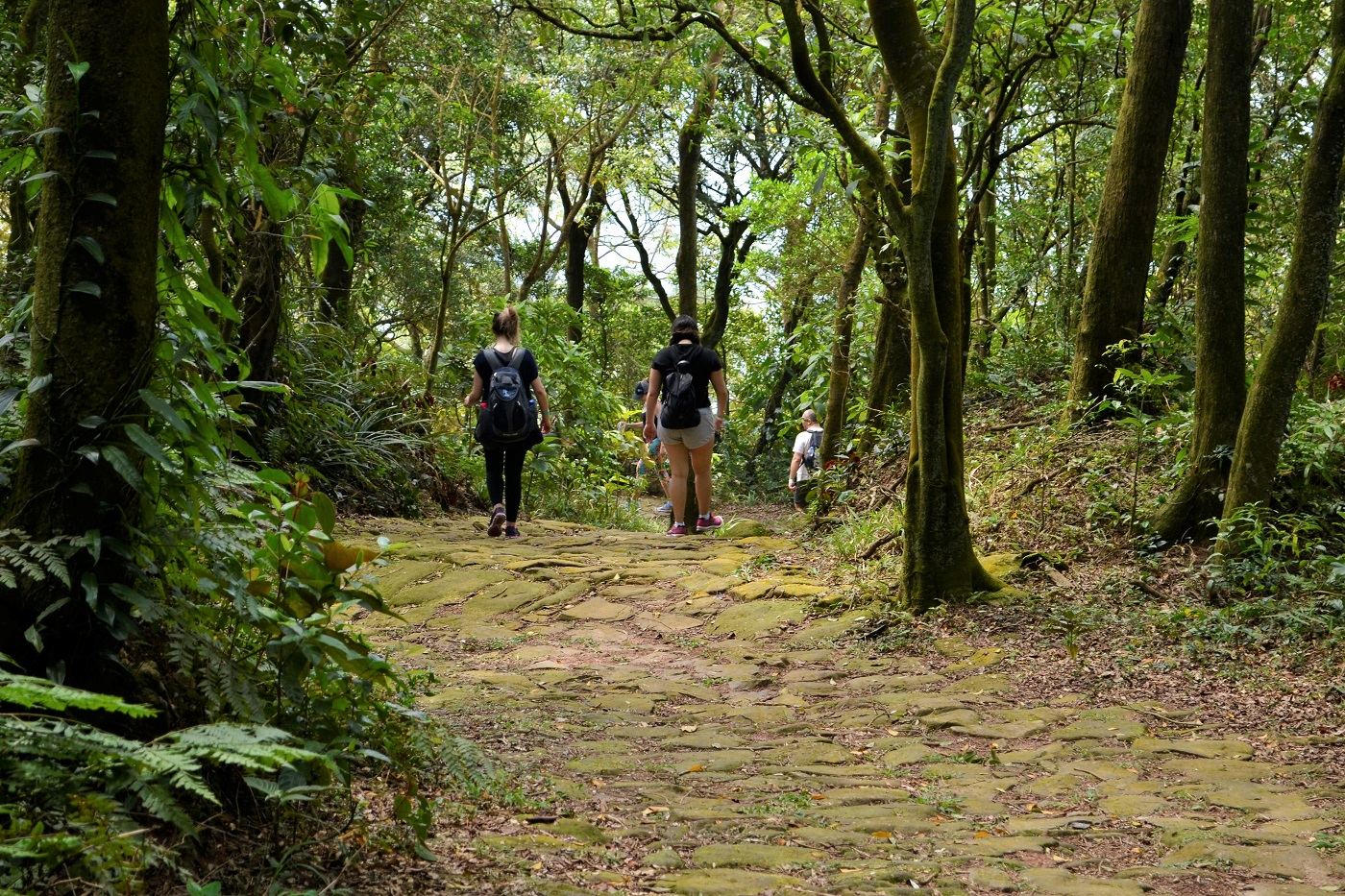 Bate e Volta Perfeito: Trilhas Próximas a São Paulo para um Dia de Aventura