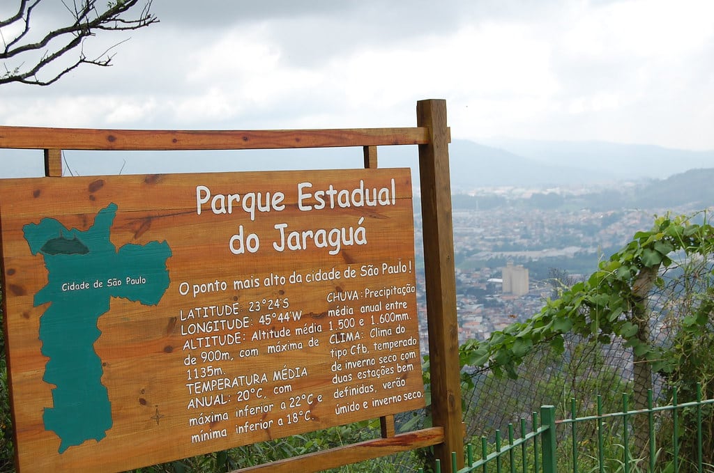 Trilhas Urbanas em SP: Natureza Sem Sair da Cidade