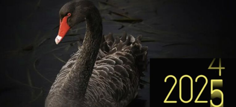 Além da Previsão: Construindo Resiliência em um Mundo de Cisnes Negros