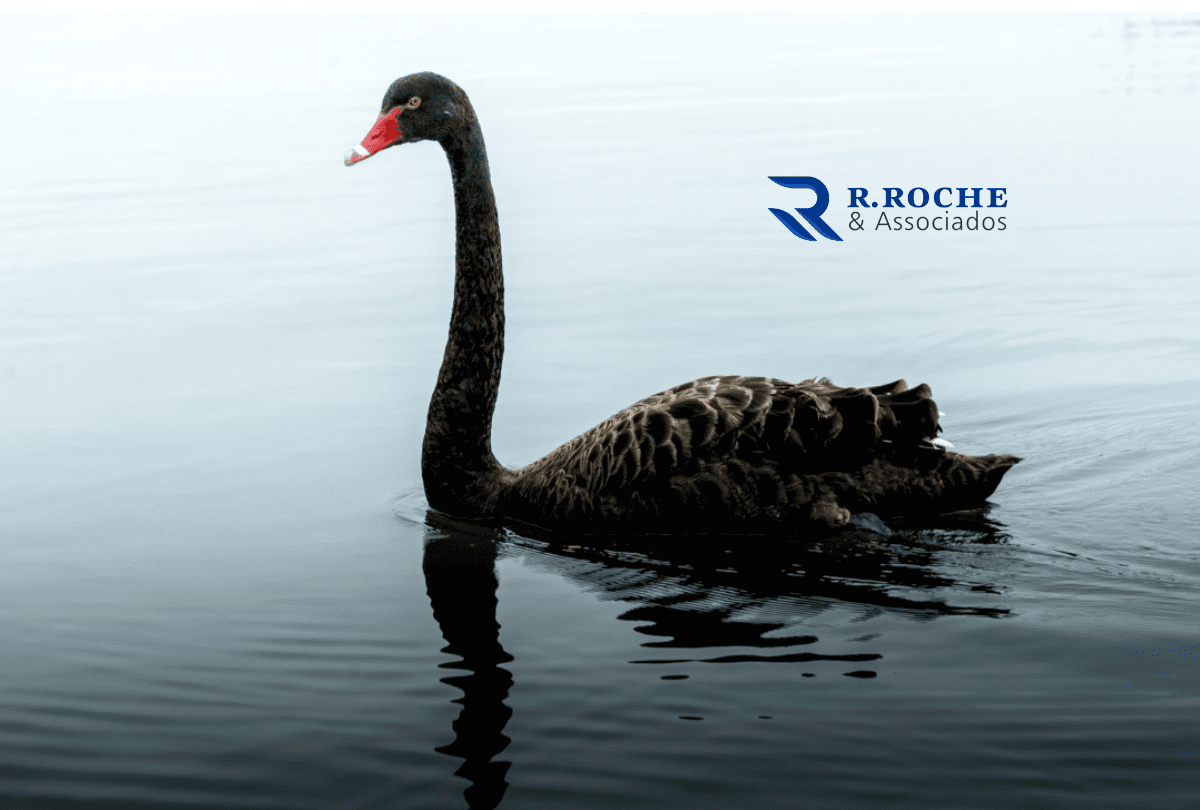 Estratégias de Investimento para Proteger seu Capital de Eventos Imprevisíveis