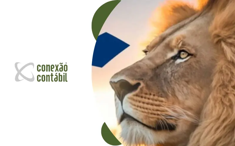 erros carnê leão primeira vez