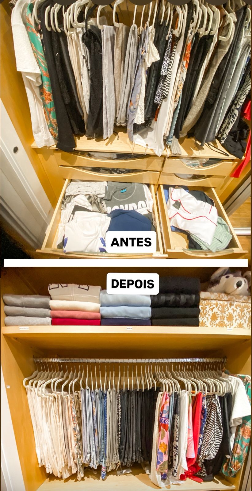 fotos de prateleiras organizadas