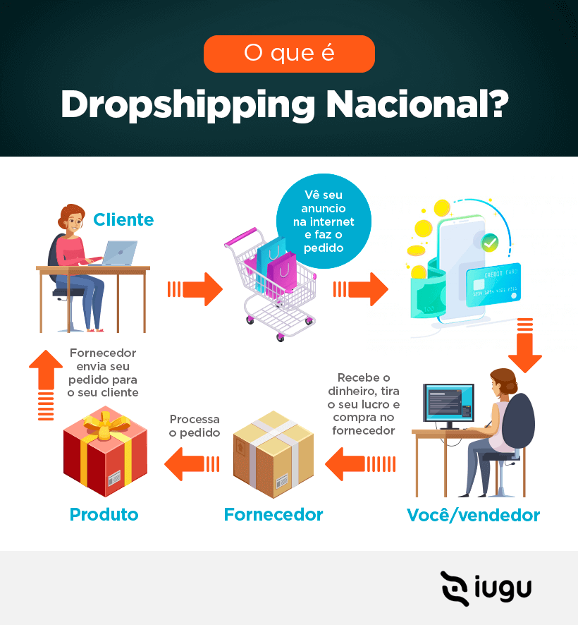 termos dropshipping iniciantes