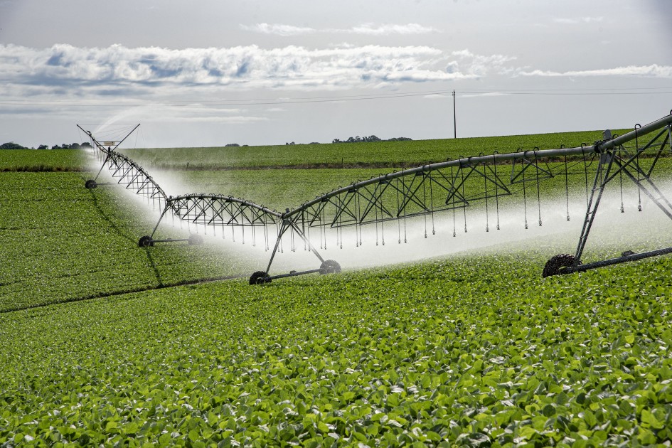 técnicas de irrigação