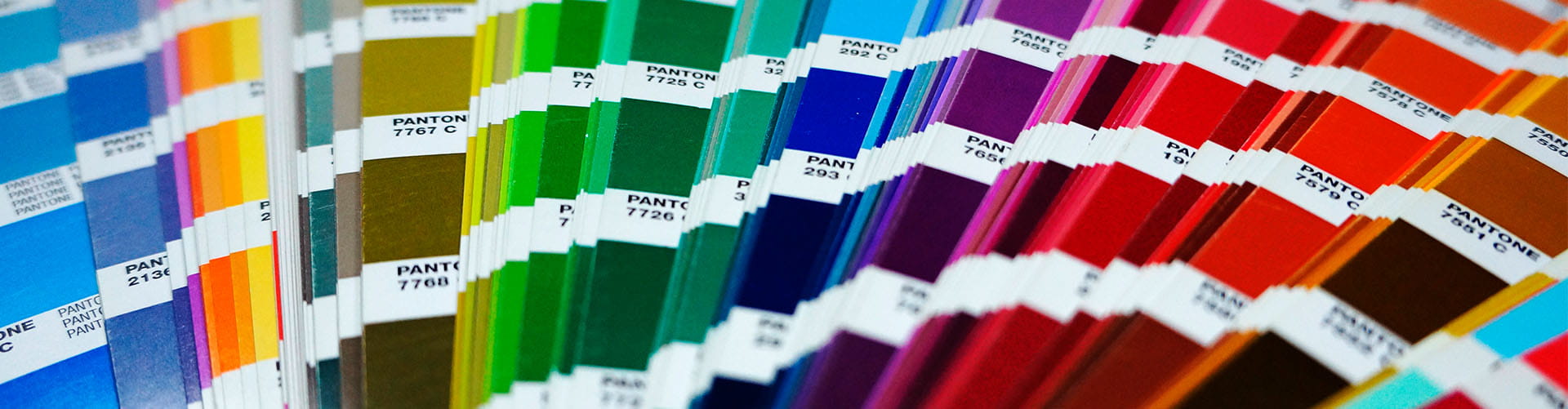cores para startups