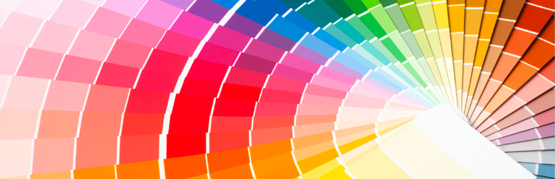 harmonização de cores para logo