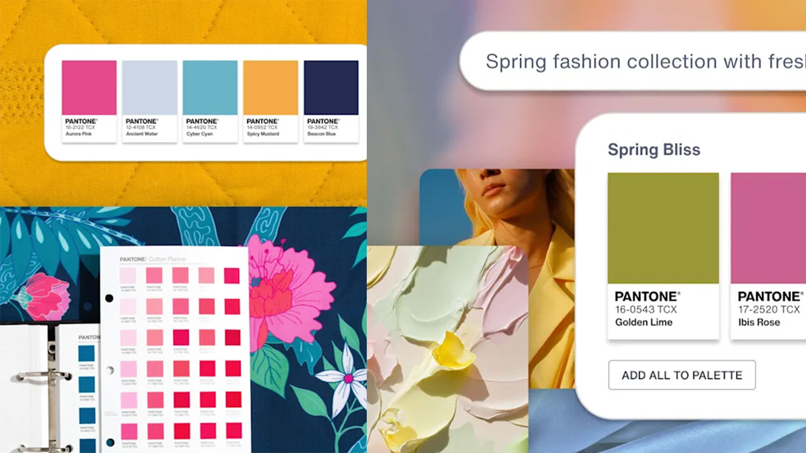 cores para branding digital